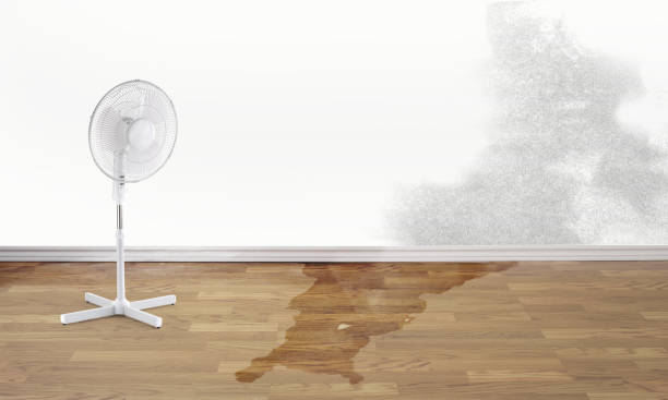 Trusted Gloster, MS Water damage restoration Experts