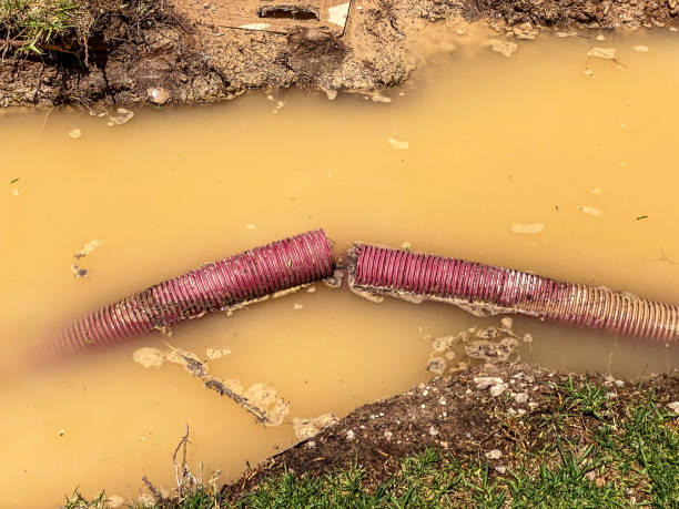 Best Commercial water damage restoration  in Gloster, MS