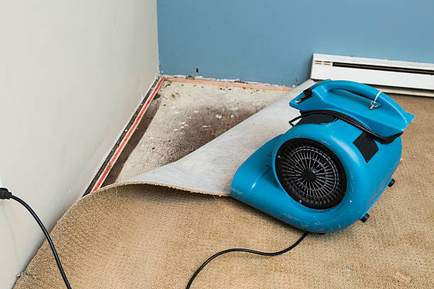 Best 24-hour water damage restoration  in Gloster, MS